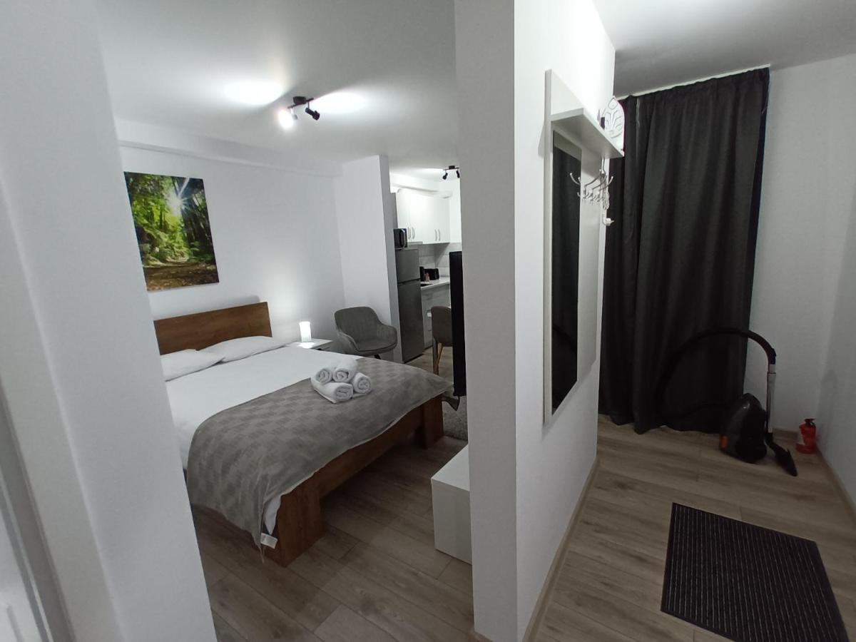 Old Town Studio Apartments Baia Mare Exterior foto